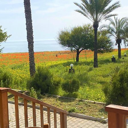 Paradise Karpaz Hotel & Restaurant Rizokarpaso Екстер'єр фото