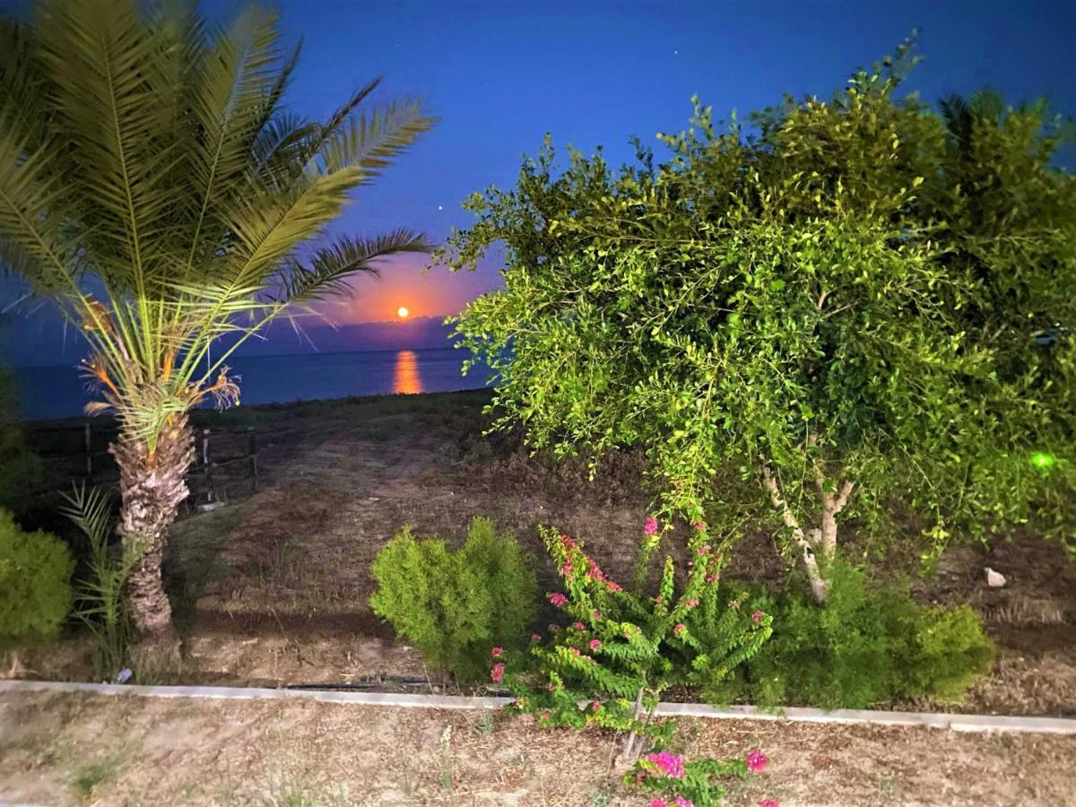 Paradise Karpaz Hotel & Restaurant Rizokarpaso Екстер'єр фото