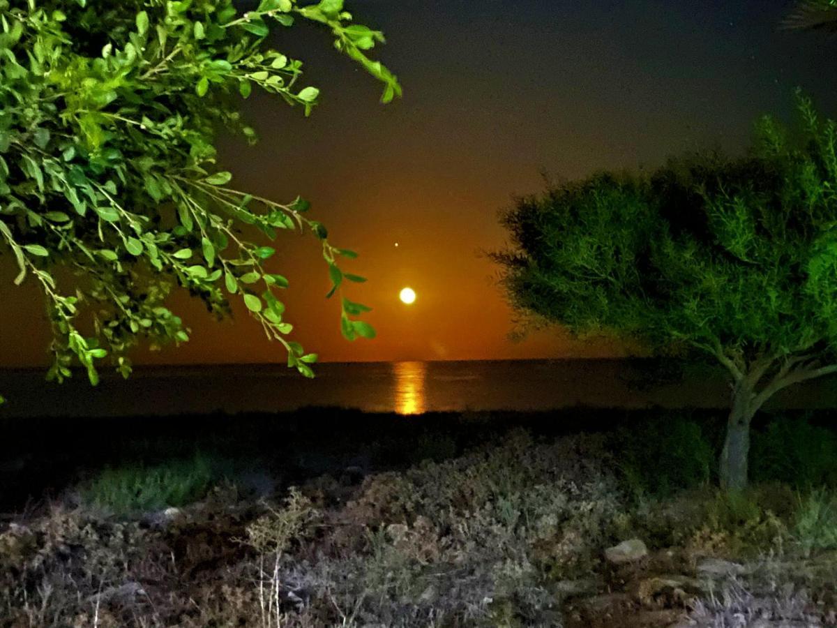 Paradise Karpaz Hotel & Restaurant Rizokarpaso Екстер'єр фото
