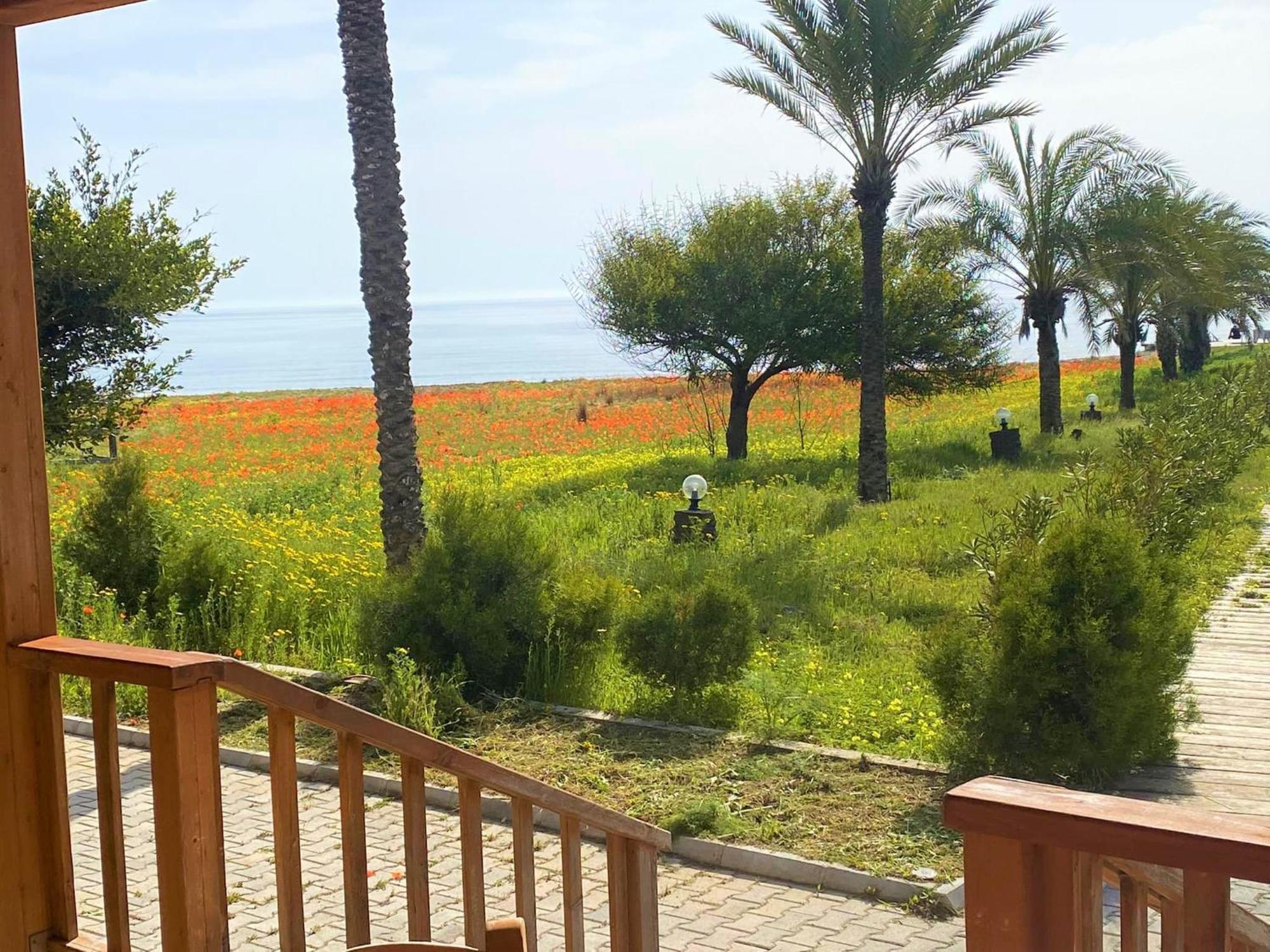 Paradise Karpaz Hotel & Restaurant Rizokarpaso Екстер'єр фото
